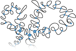 Chromatin Model